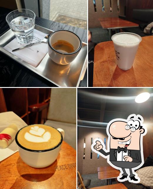Surf Coffee x Suite