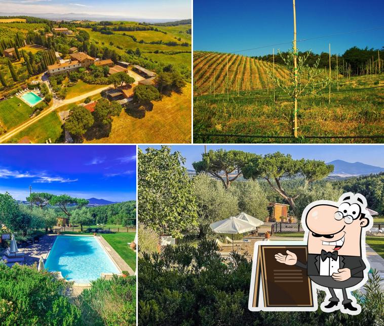 Agriturismo Renello