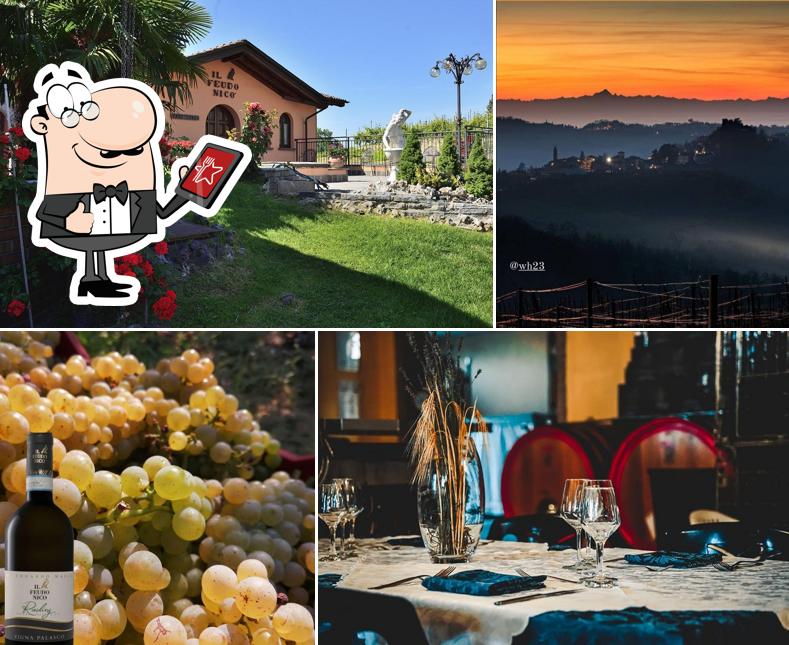 Azienda Agricola Ristorante Il Feudo Nico