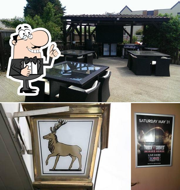 The Stag