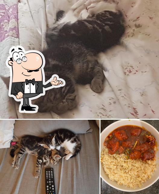 Shrub End Takeaway