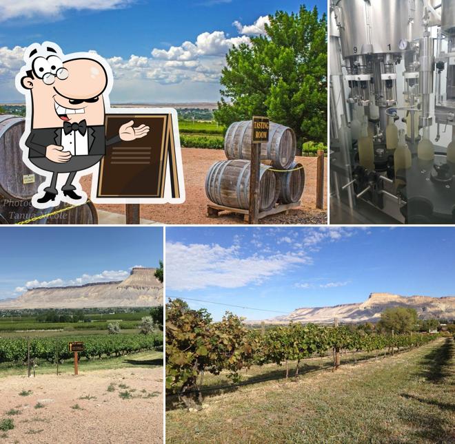 Colorado Cellars