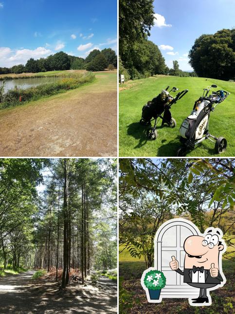 Het Rijk van Nijmegen