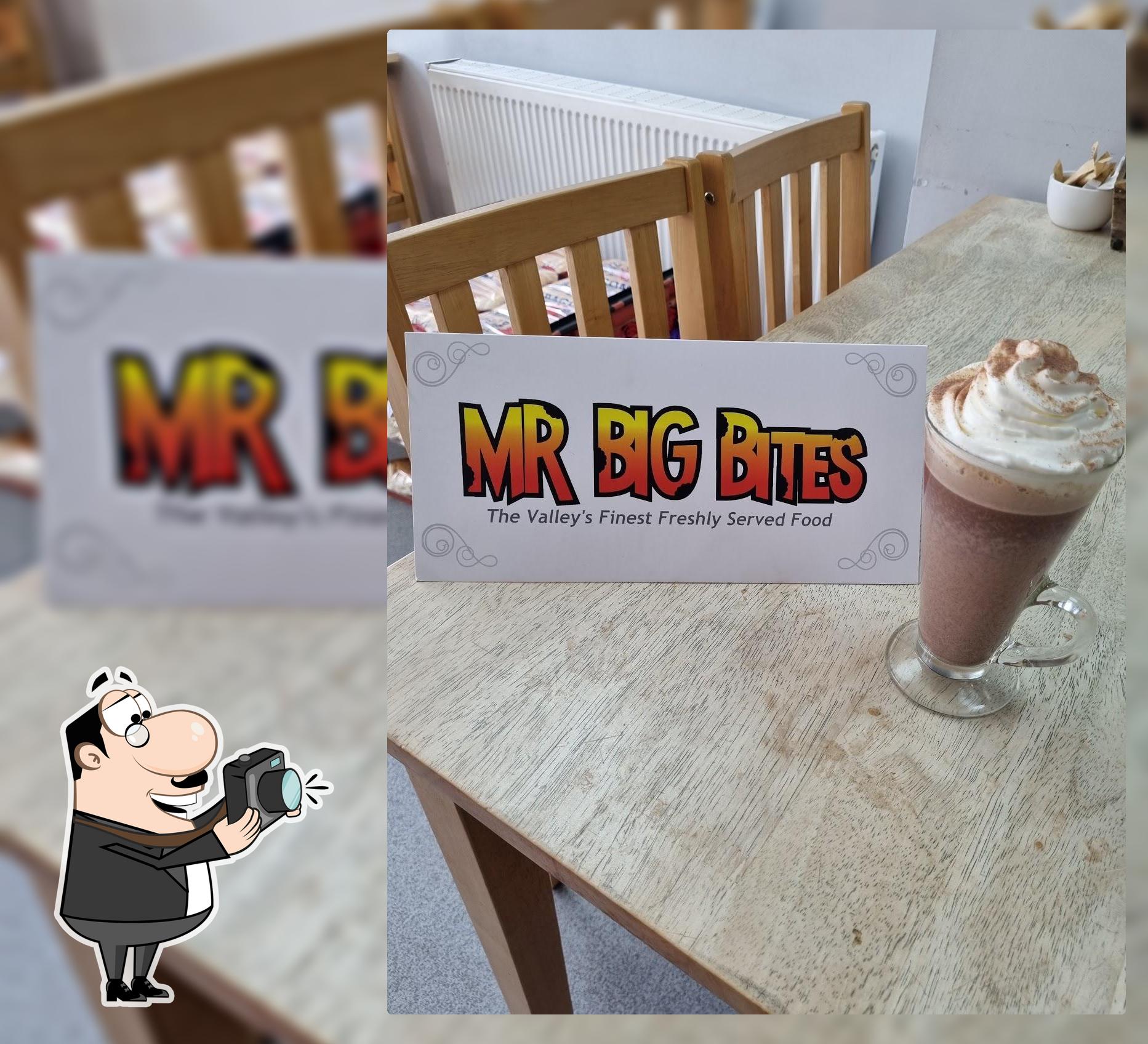 Mr big BITES