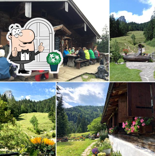 Brander Alm