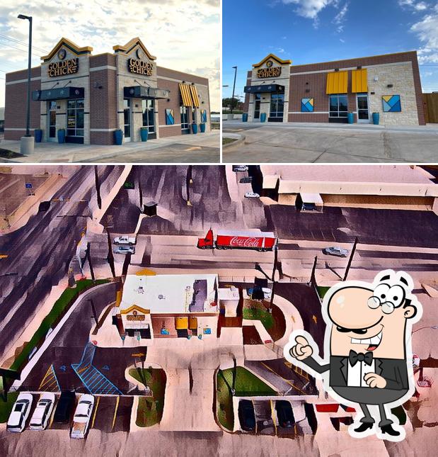 Golden Chick