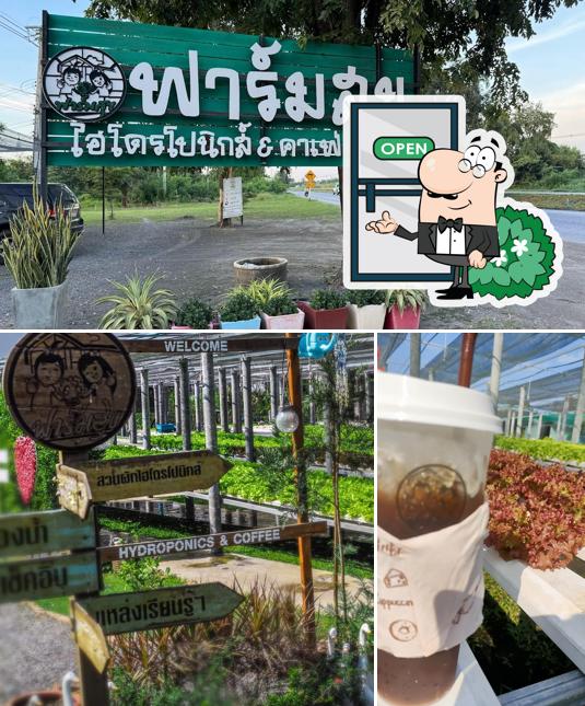 ฟาร์มสุขไฮโดรโปรนิกส์ & คาเฟ่ พิจิตร