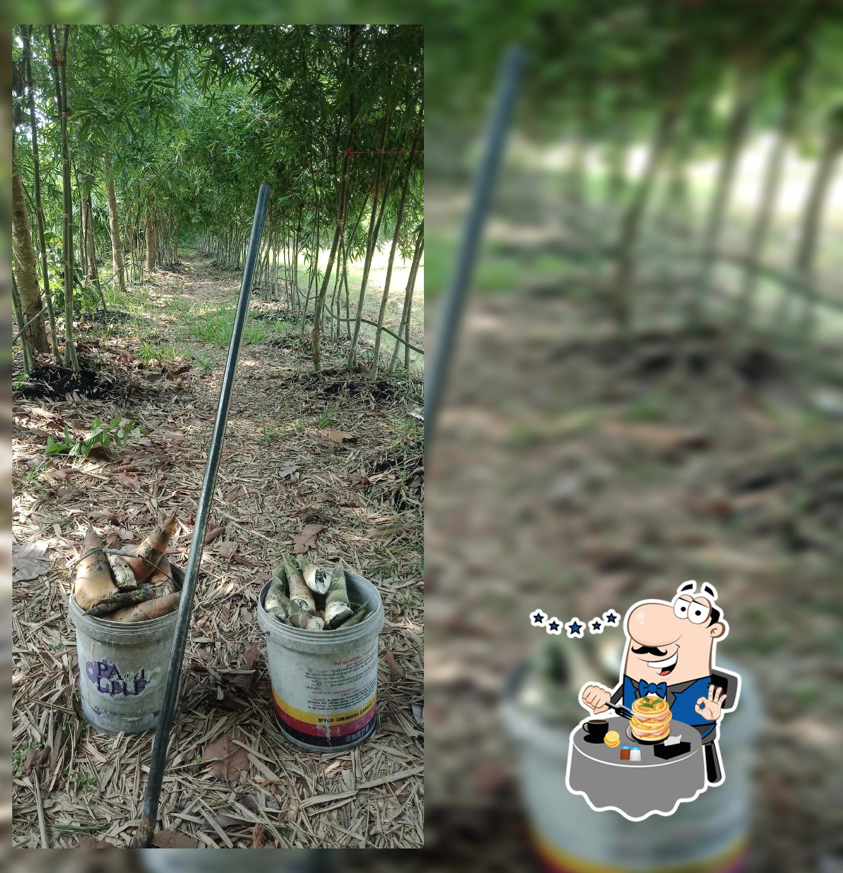 @บ้านสวนขุนพล