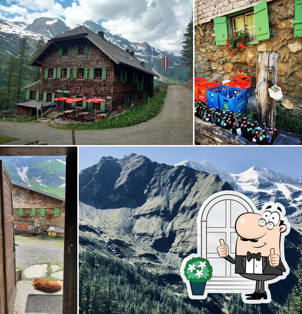Trauneralm