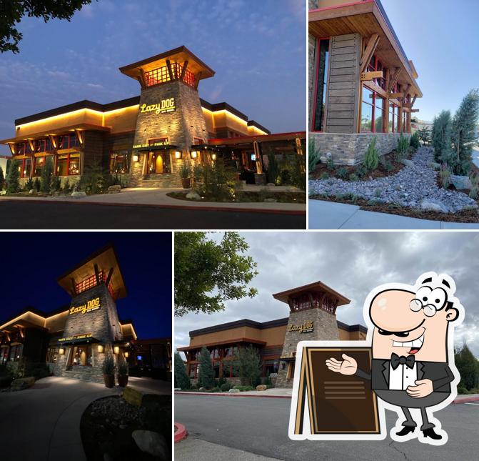 Lazy Dog Restaurant & Bar
