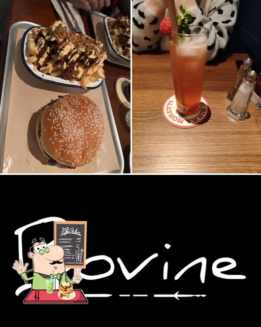 Bovine