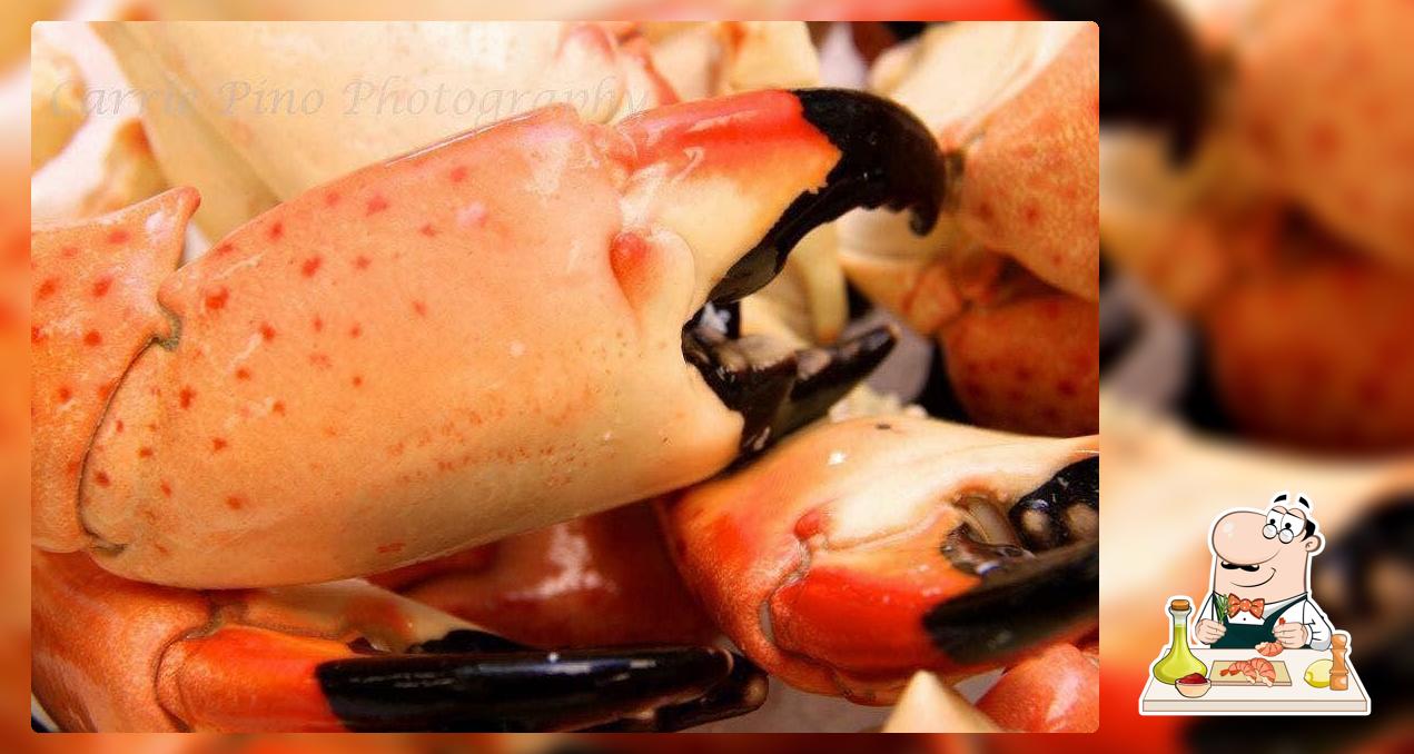 The Rude Shrimp