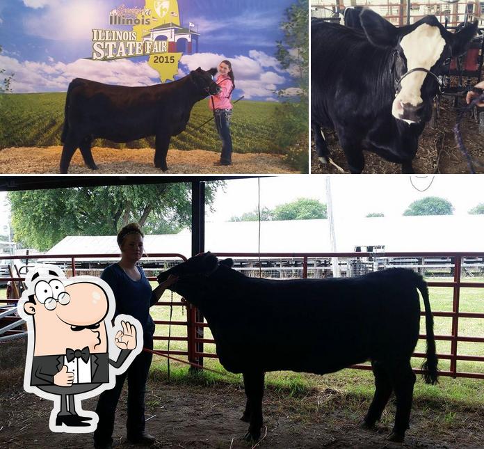 Four Winds Cattle Co
