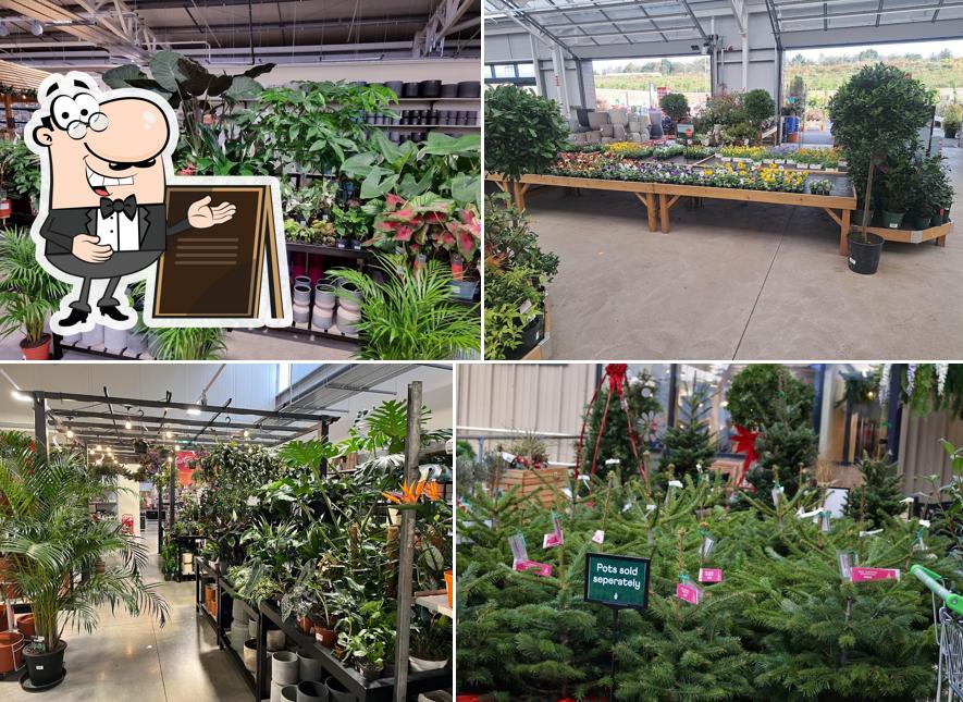 Tong Garden Centre
