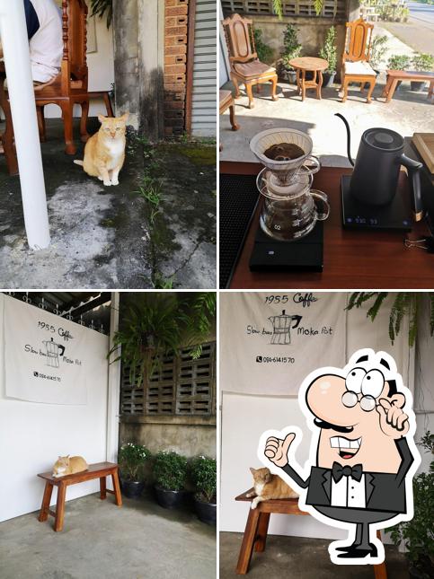 Lucky Day slow bar coffee