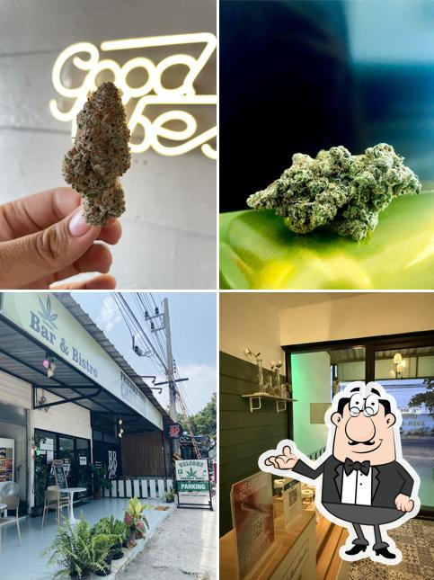 Friendly Vibes Cannabis