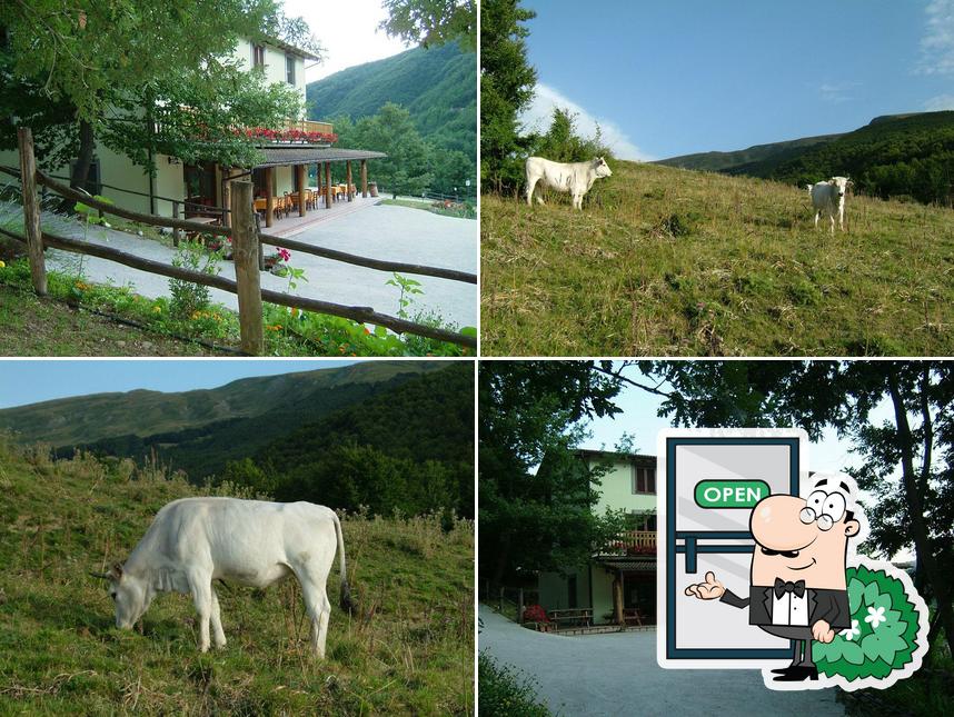 Agriturismo Grisciano