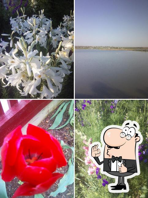 Татьяна