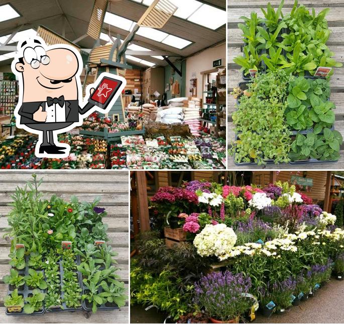 Lymefield Garden Centre, Farm Shop and Tea Room