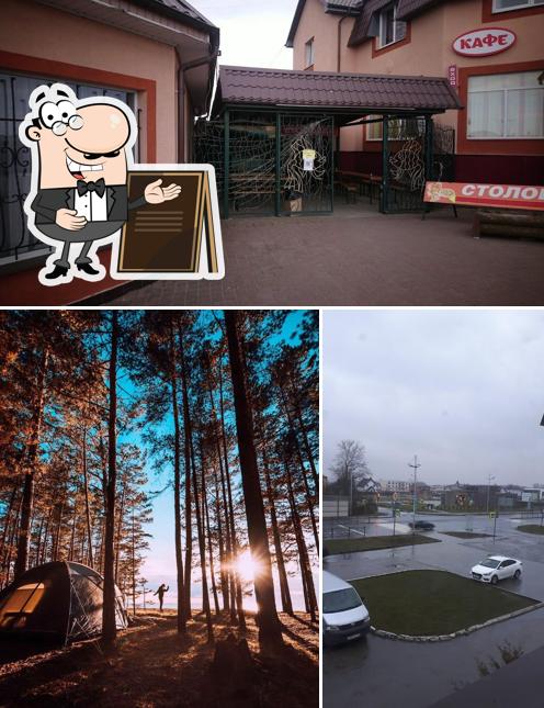 Золотая Рыбка