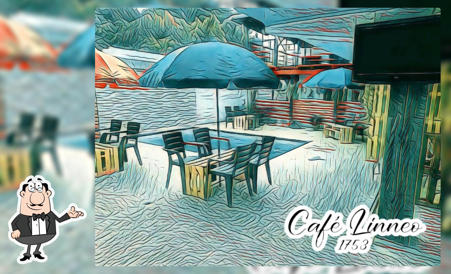 Cafe LINNEO