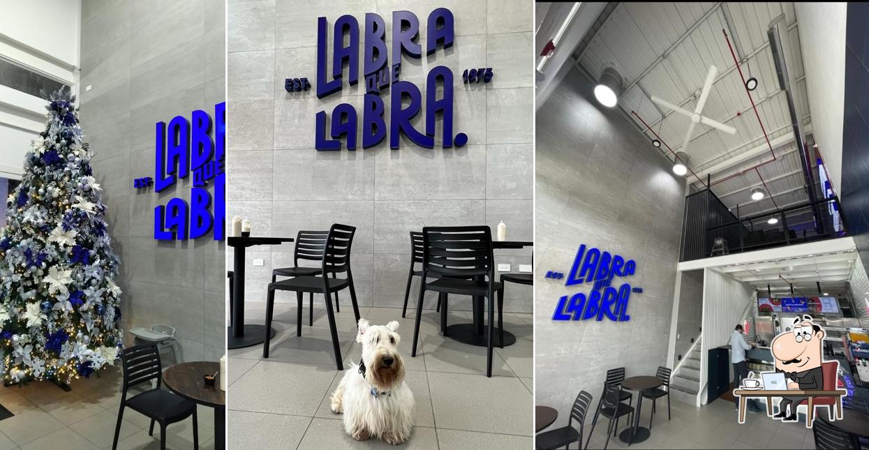 Labra que labra - Ciudad Celeste