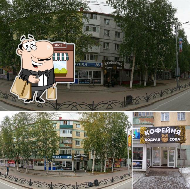 Бодрая сова