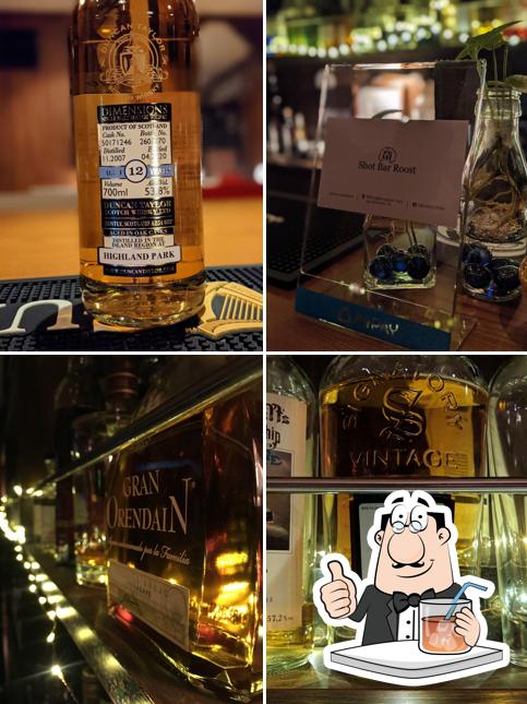 Bar のら猫