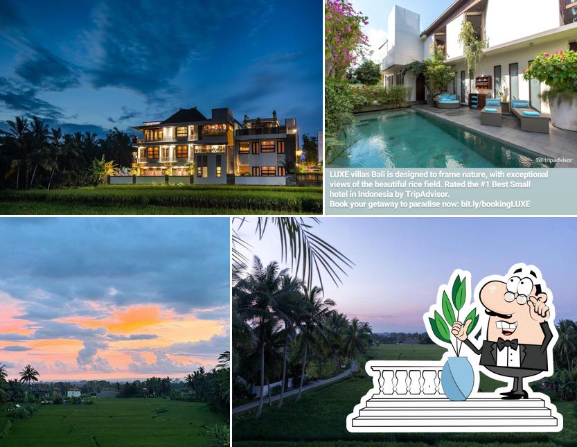 The LUXE Ubud, a Boutique Hotel