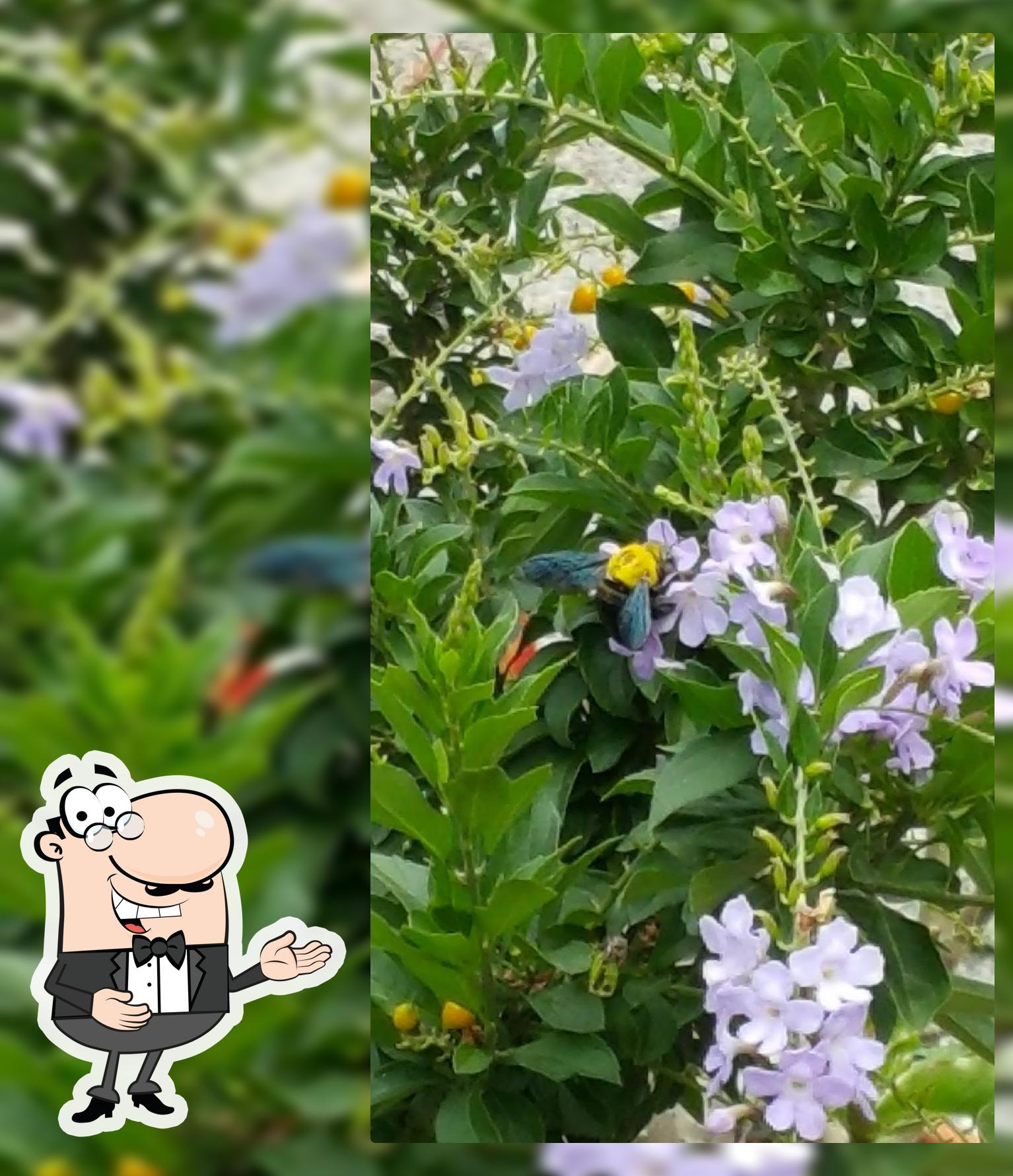 ครัวภริญาณ อาหารป่า