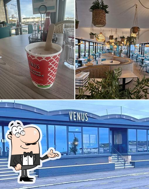 The Venus Cafe