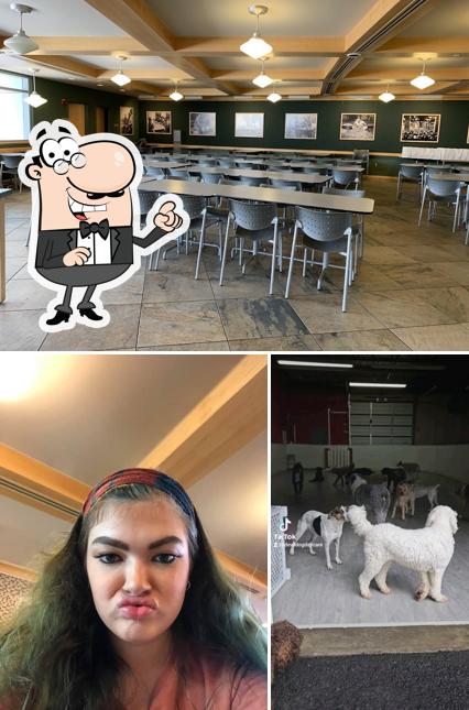 Devil Dog Diner