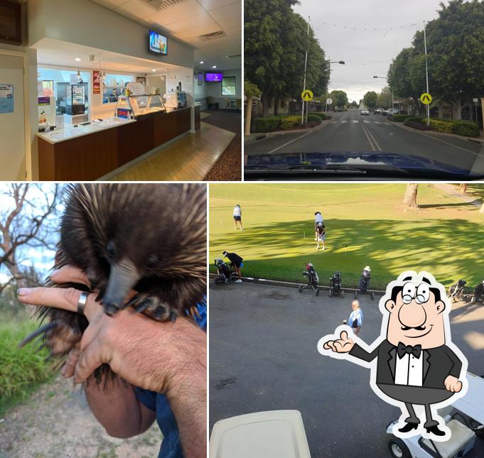 Moree Golf Club