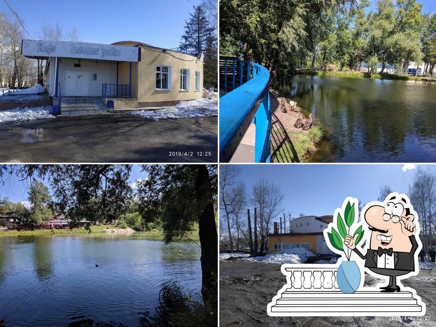Золотая рыбка