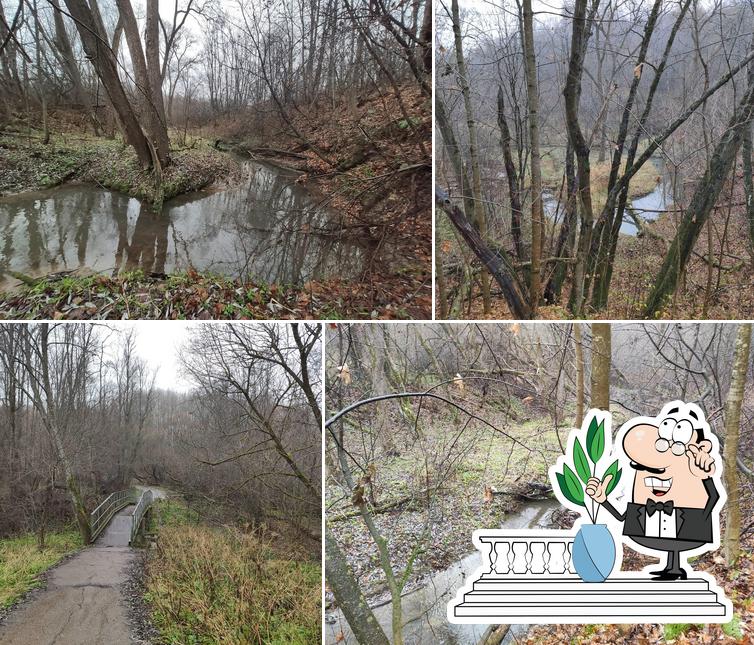 Варвар суши