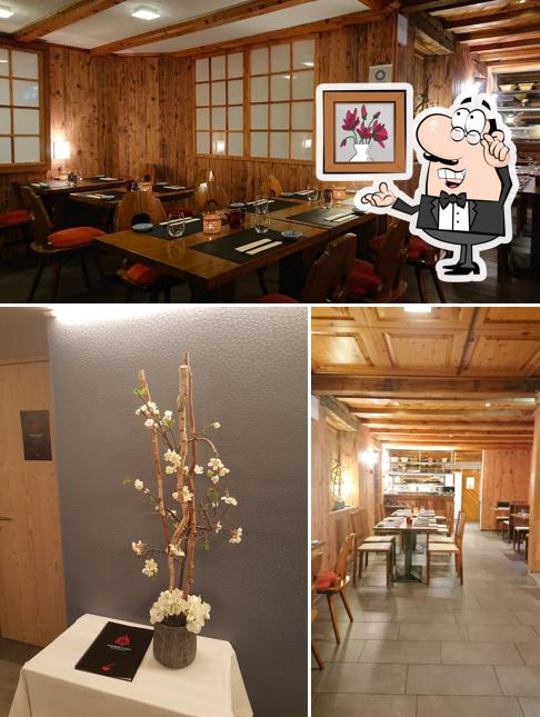 Shogun Japan Restaurant