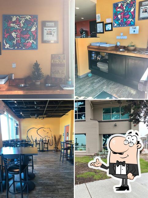 Honey Cup Coffeehouse & Creamery