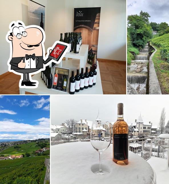 Terres de Lavaux