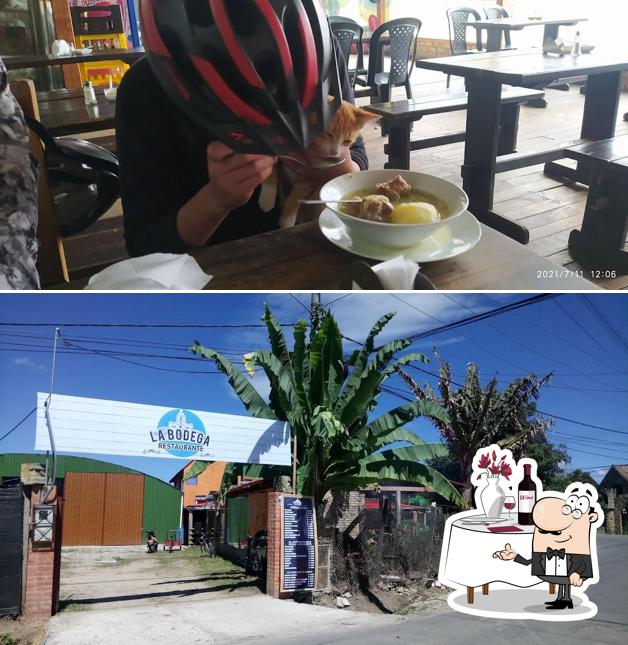 los potrillos