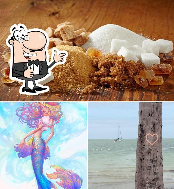 Mermaid Bait Shack