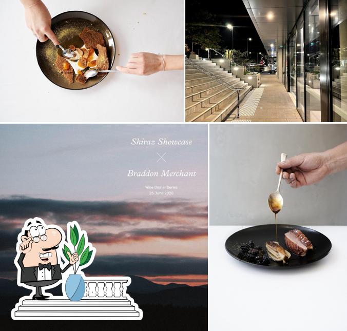 Braddon Merchant