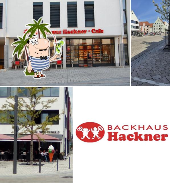 Backhaus Hackner
