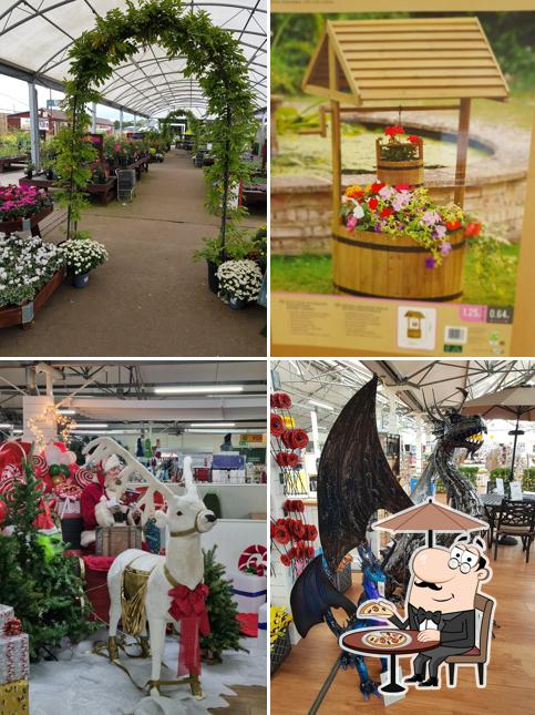 Elm Court Garden Centre