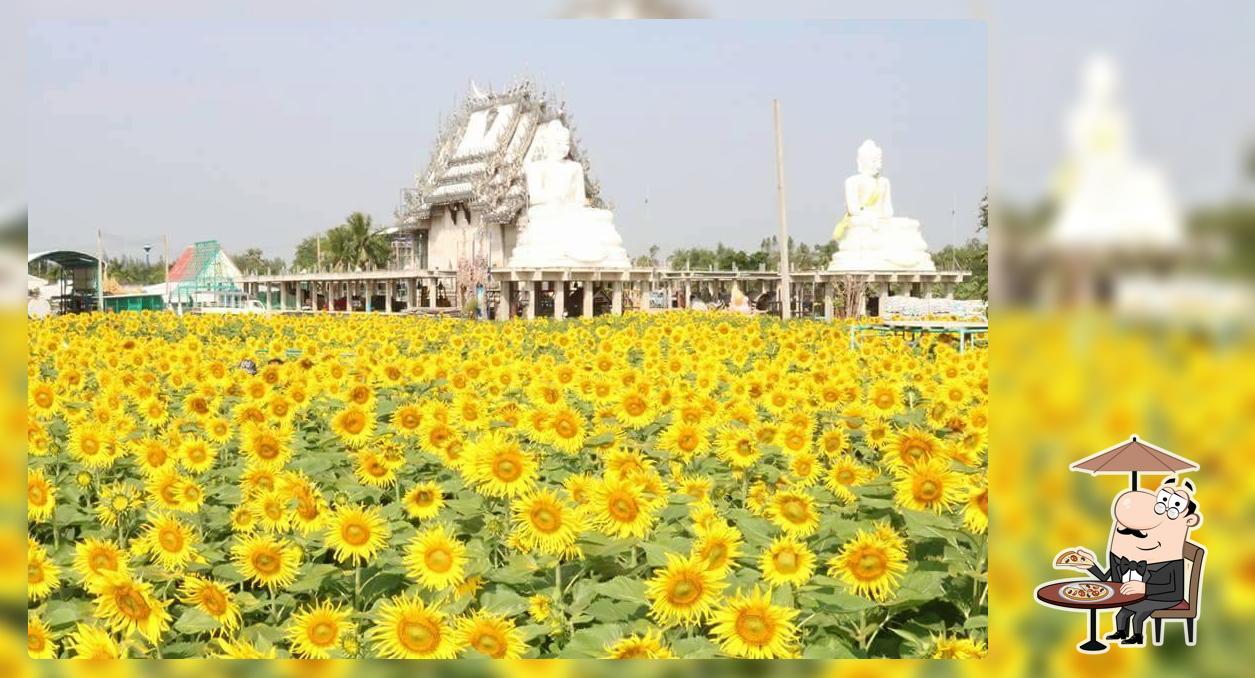 ครัวสามพี่น้อง กำแพงแสน นครปฐม Ban Khok Sakaewan (1)