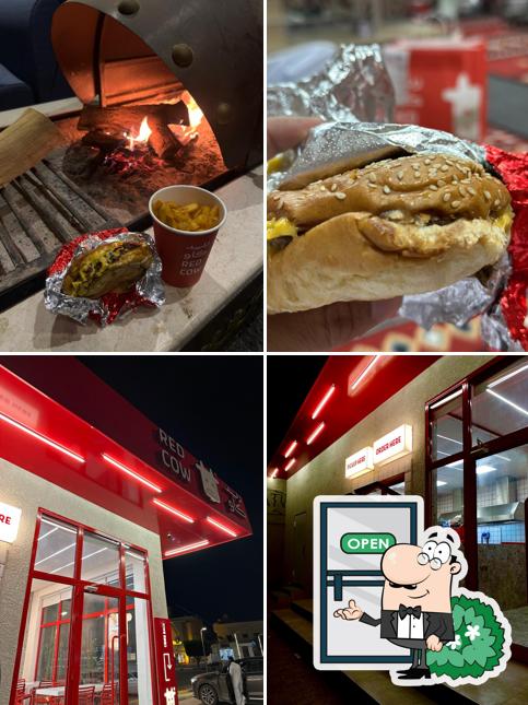 ريد كاو RED COW
