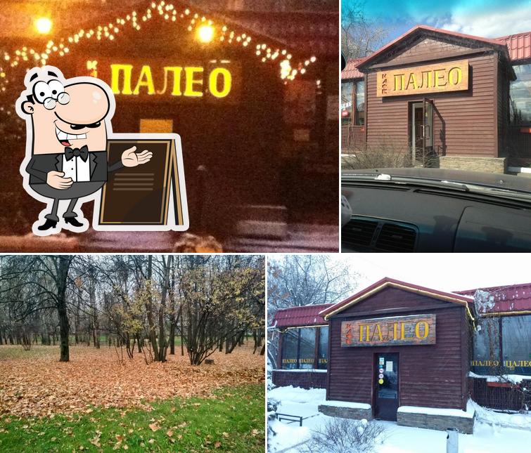 Палео