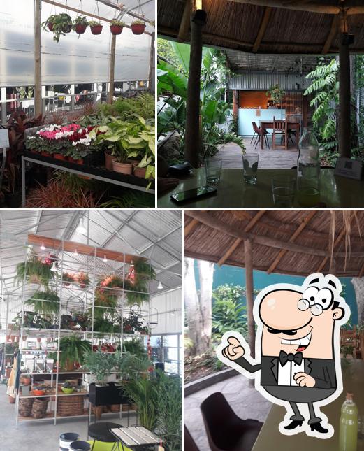 Herbarium