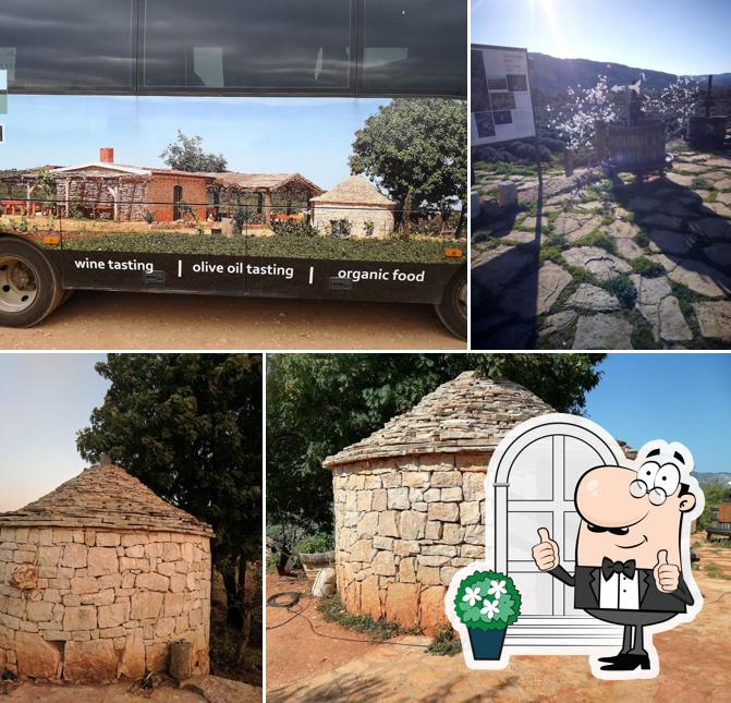 FarmHouse Agrotourism Pharos