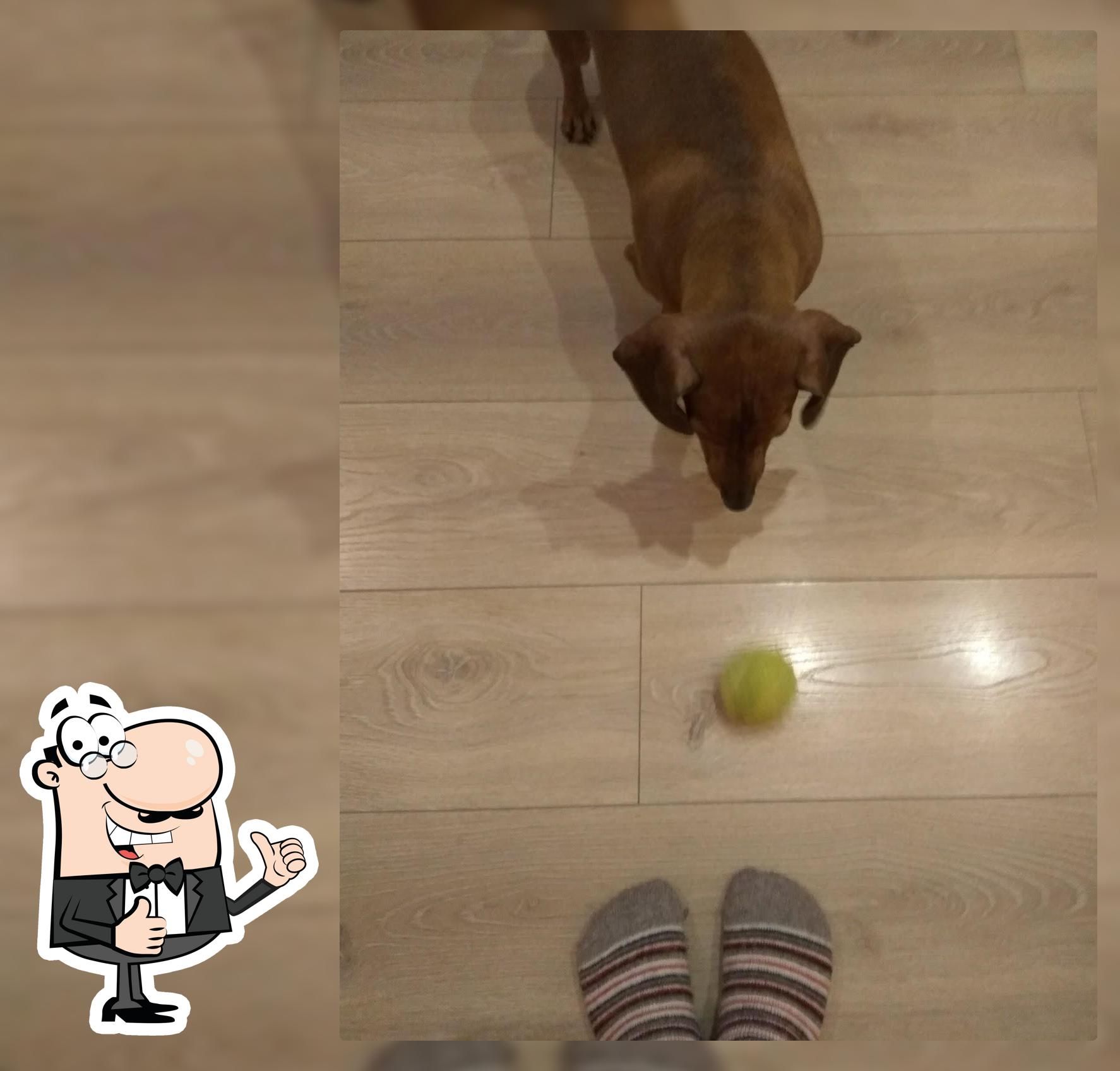 экспресс пицца