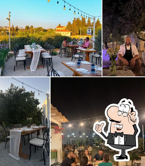 Yeni Bi’hayal